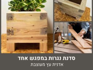 סדנת נגרות במפגש אחד - אדנית עץ מעוצבת