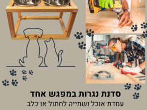סדנת נגרות במפגש אחד עמדת אוכל ושתייה לחתול או כלב