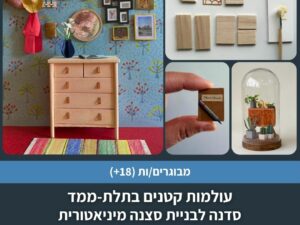 עולמות קטנים בתלת ממד - סדנה לבניית סצנה מיניאטורית בשלושה מפגשים